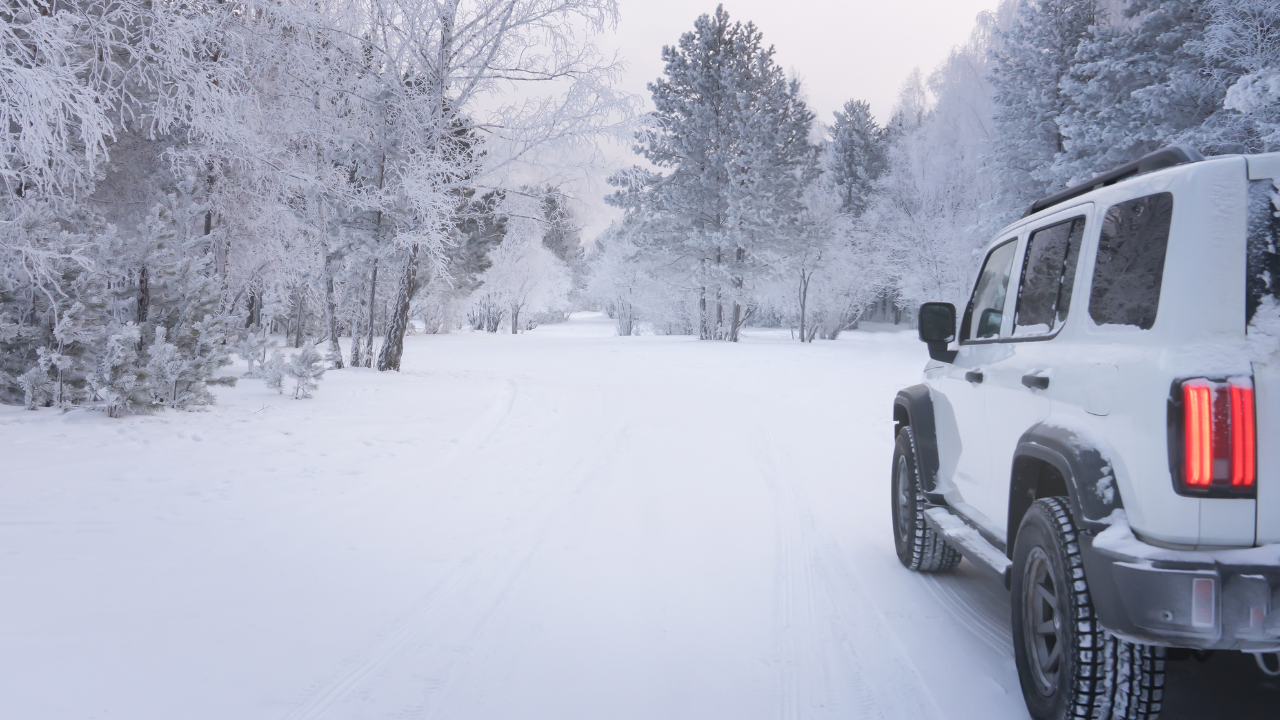 BUZZ BUZZ MEDIA INC. BLOG PHOTOS YouTube Thumbnail 2026 02 15T214924.004