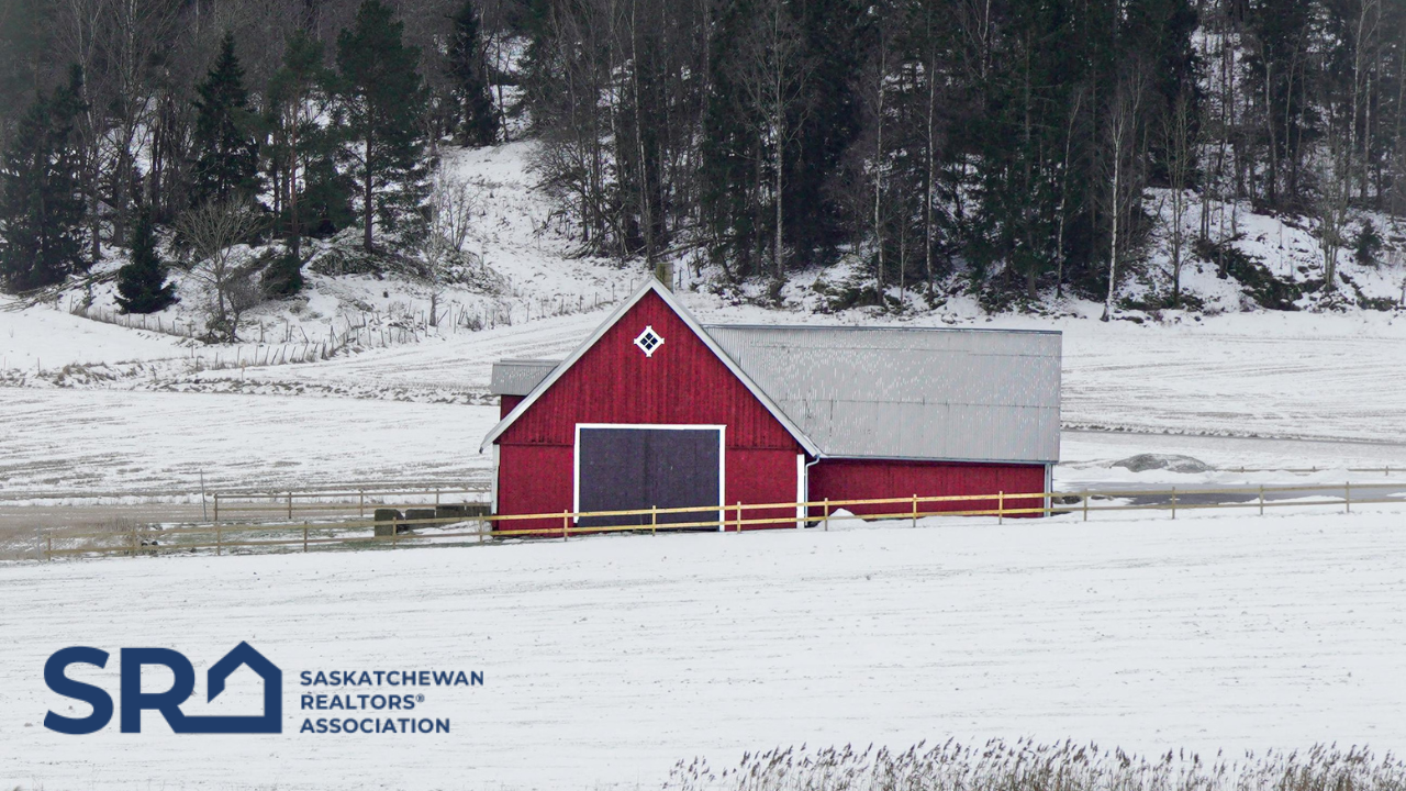 BUZZ BUZZ MEDIA INC. BLOG PHOTOS YouTube Thumbnail 2026 03 04T105820.013