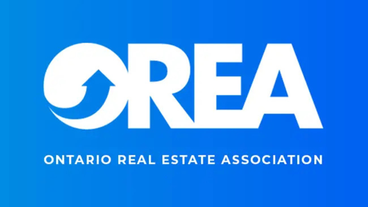 BUZZ BUZZ MEDIA INC. BLOG PHOTOS YouTube Thumbnail 2026 03 13T130451.319